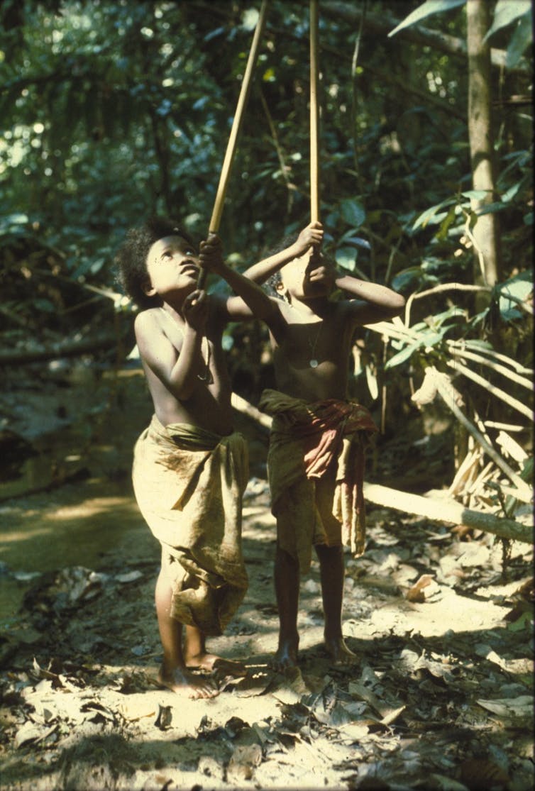 Girls from the hunting and gathering Batek tribe playing with blowpipes